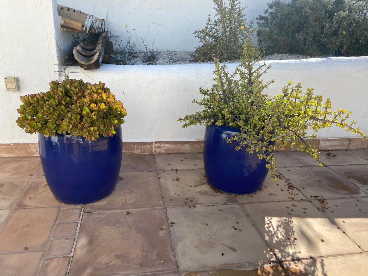 Javea Villa Entiere Piscine Et Cuisine D'Ete A Pinosol المظهر الخارجي الصورة