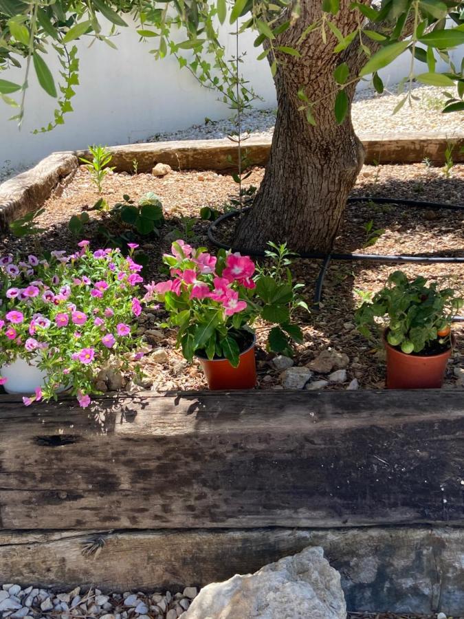 Javea Villa Entiere Piscine Et Cuisine D'Ete A Pinosol المظهر الخارجي الصورة